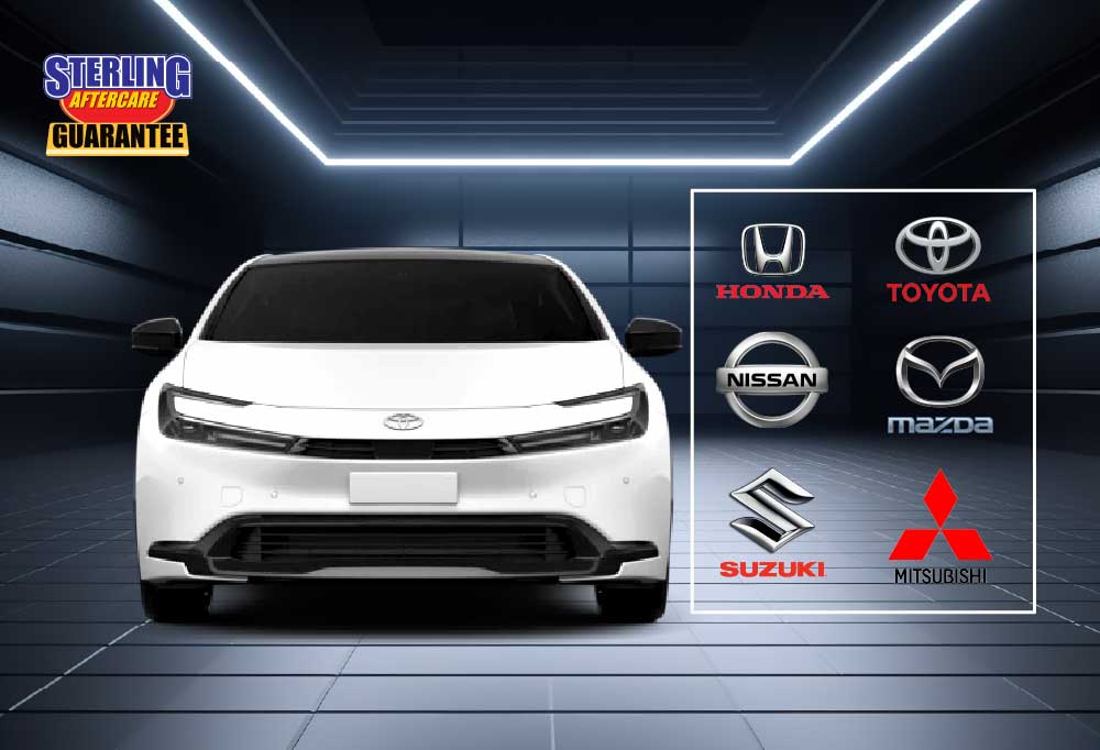 Wash and Detail - Car